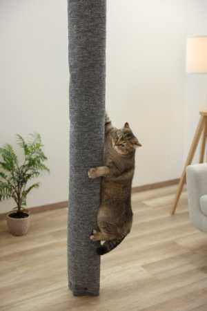 Kerbl Klettersack Katzen Carpet - ideale Alternative zu Kratzbaum deckenhoch, Aufstiegshilfe, Bezug waschbar